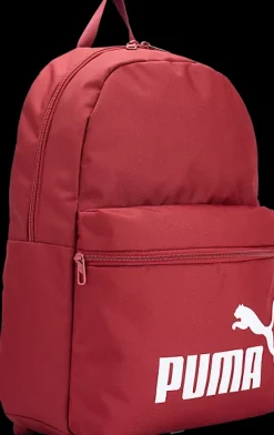 Discount plecak Phase Backpack Plecaki