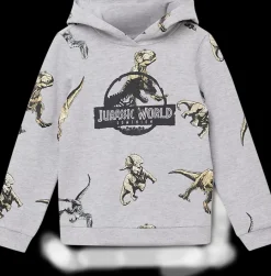 Online szara bluza dziecięca w dinozaury Dzieci Odzież