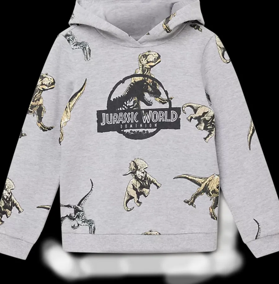 Online szara bluza dziecięca w dinozaury Dzieci Odzież